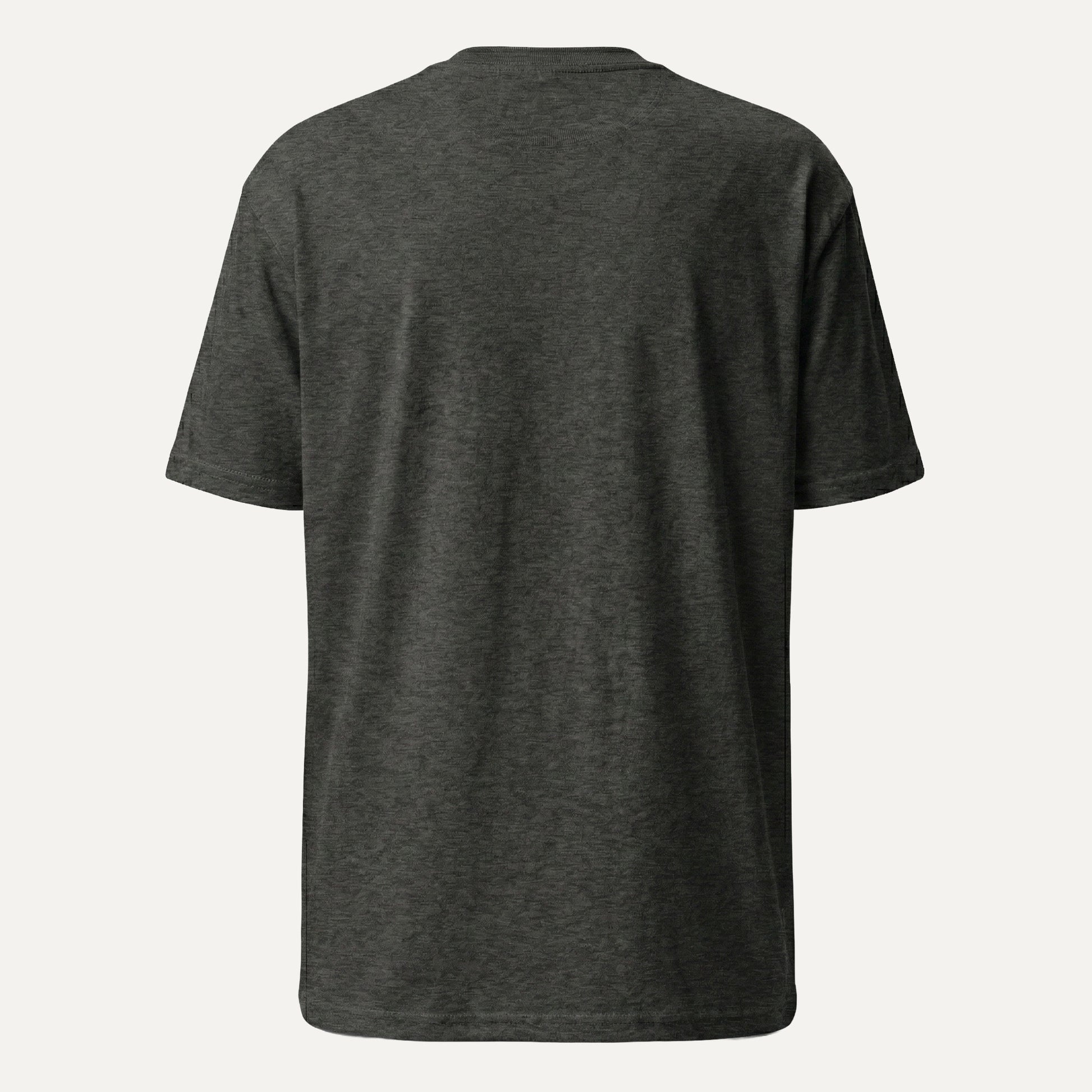 Dark gray t-shirt on a white background